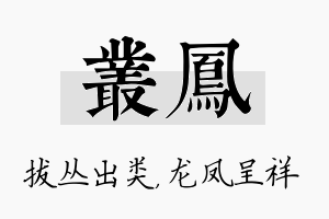 丛凤名字的寓意及含义