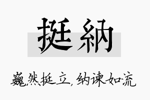 挺纳名字的寓意及含义