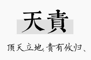 天责名字的寓意及含义