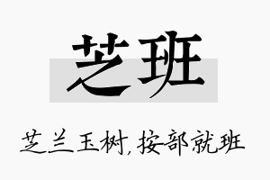 芝班名字的寓意及含义