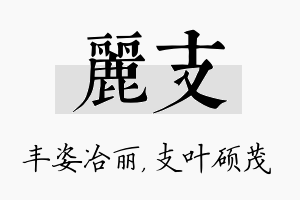 丽支名字的寓意及含义