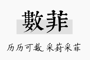 数菲名字的寓意及含义