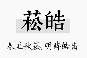 菘皓名字的寓意及含义