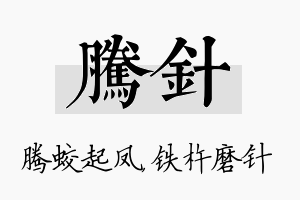 腾针名字的寓意及含义