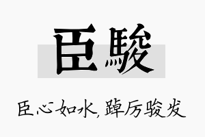 臣骏名字的寓意及含义