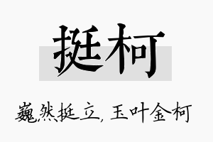 挺柯名字的寓意及含义