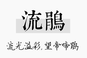 流鹃名字的寓意及含义