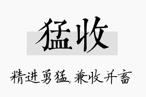 猛收名字的寓意及含义