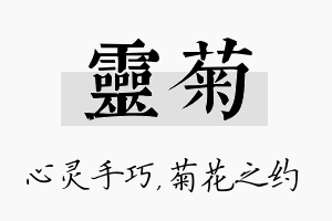 灵菊名字的寓意及含义