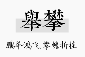 举攀名字的寓意及含义