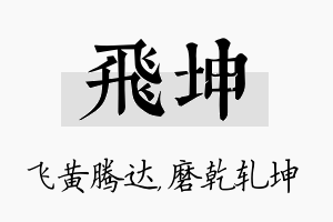 飞坤名字的寓意及含义