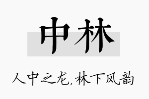 中林名字的寓意及含义