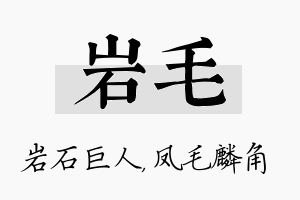 岩毛名字的寓意及含义