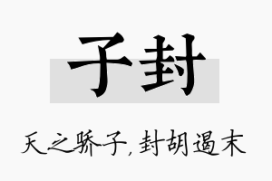 子封名字的寓意及含义