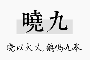 晓九名字的寓意及含义