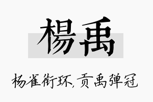 杨禹名字的寓意及含义