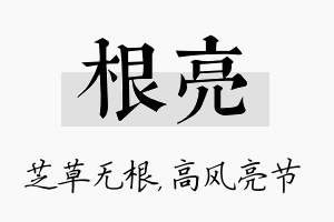 根亮名字的寓意及含义