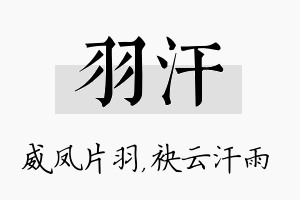 羽汗名字的寓意及含义