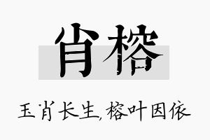 肖榕名字的寓意及含义