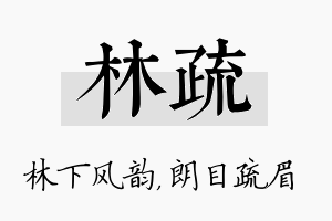 林疏名字的寓意及含义