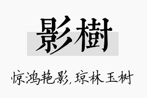 影树名字的寓意及含义