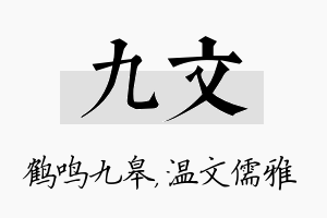 九文名字的寓意及含义