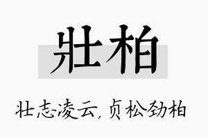 壮柏名字的寓意及含义