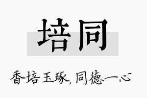 培同名字的寓意及含义