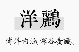 洋鹂名字的寓意及含义