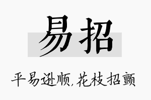 易招名字的寓意及含义