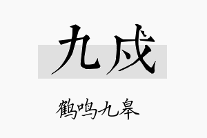 九戍名字的寓意及含义