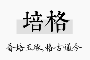 培格名字的寓意及含义