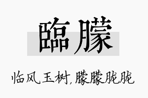 临朦名字的寓意及含义