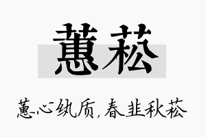 蕙菘名字的寓意及含义