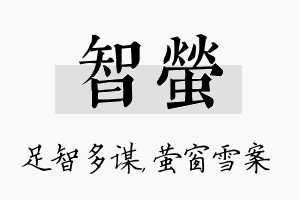 智萤名字的寓意及含义