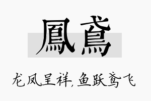 凤鸢名字的寓意及含义