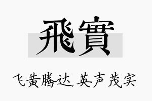 飞实名字的寓意及含义