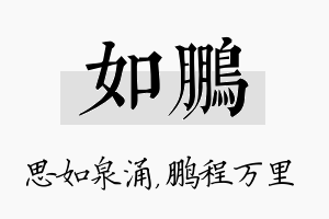 如鹏名字的寓意及含义