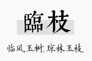 临枝名字的寓意及含义