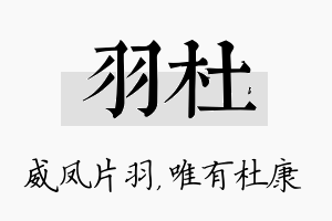 羽杜名字的寓意及含义