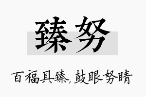 臻努名字的寓意及含义