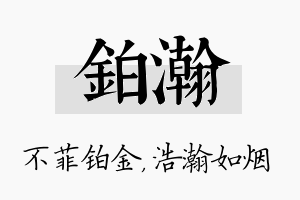 铂瀚名字的寓意及含义