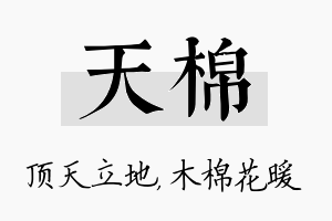 天棉名字的寓意及含义