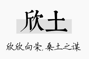 欣土名字的寓意及含义