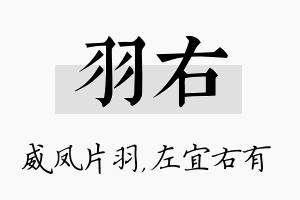 羽右名字的寓意及含义