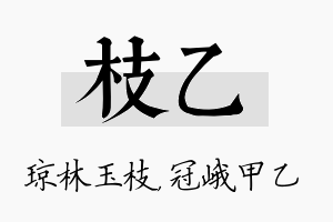 枝乙名字的寓意及含义