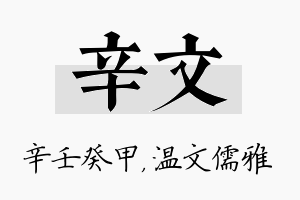 辛文名字的寓意及含义