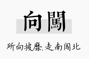 向闯名字的寓意及含义