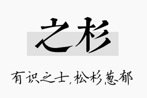 之杉名字的寓意及含义