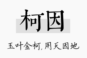 柯因名字的寓意及含义